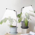 Grow Light 2 Pack