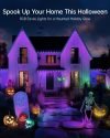 200FT Permanent Outdoor Lights