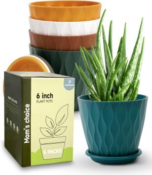 6-Inch Indoor Planter Pots with Drainage Hole 