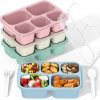 Bento Box Adult Lunch Box