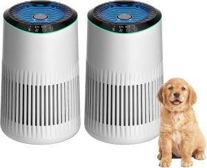 Air Purifiers