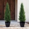 2 Pack 3 ft Outdoor Artificial Topiary Cedar Plants