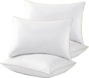 Queen Size Pillows – Set of 4