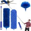 Duster with Extension Pole