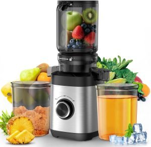100 Watts Cold Press Juicer