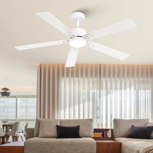 Ceiling Fans with Lights and Remote