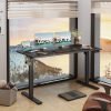55 x 24 Inches Electric Height Adjustable Standing Desk