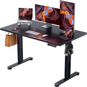 ErGear Height Adjustable Electric Standing Desk 