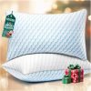 Bed Pillows Queen Size