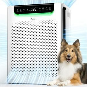 Air Purifiers for Home Large Room