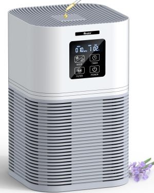 2-in-1 Air Purifier