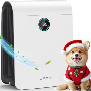 Air purifiers for home large room