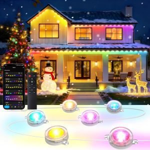 100FT Permanent Outdoor Lights