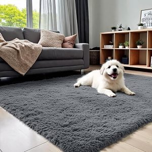 4×6 Area Rug for Living Room