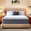 Queen Mattress 