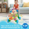 Fisher-Price Laugh & Learn Puppy Walker