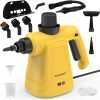 Steam Cleaner for Home
