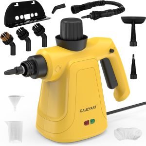 Steam Cleaner for Home
