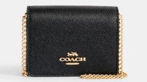 Coach Outlet Mini Wallet on a Chain with Heart Rivets 