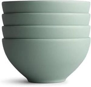 Set of 4 Unbreakable Lightweight Small Bowls