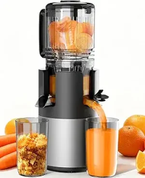 Cold Press Masticating Juicer