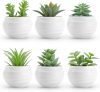 Der Rose Set of 6 Artificial Succulent Plants in Pots
