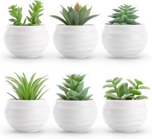 Der Rose Set of 6 Artificial Succulent Plants in Pots