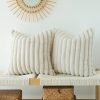 2 Pack Faux Fur Plush Decorative Throw Pillow Covers