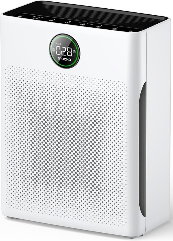 Air Purifiers for Home 