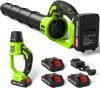 VASG Leaf Blower Cordless 