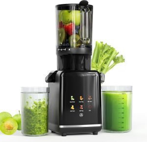 Masticating Cold Press Juicer 