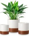Ceramic Plant Pots 