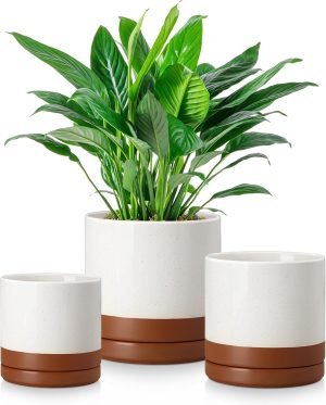 Ceramic Plant Pots 