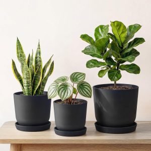 Plant Pots Planters