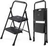 2 Step Ladder