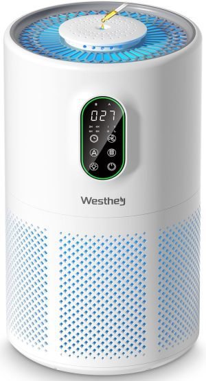 Air Purifier for Home