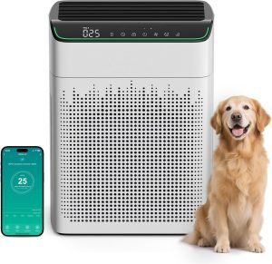 FLANUR Air Purifiers