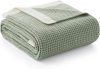 Throw Blanket for Couch