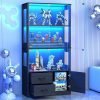Display Cabinet with Glass Doors