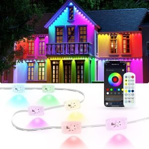 Permanent Outdoor Lights for House