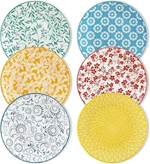 Set of 6 Ceramic Plates 