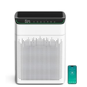 Air Purifiers for Home