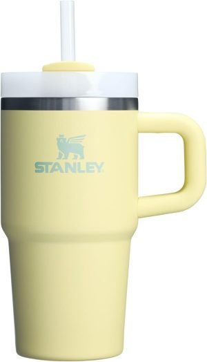 Stanley 20 oz Tumbler with Handle and Straw