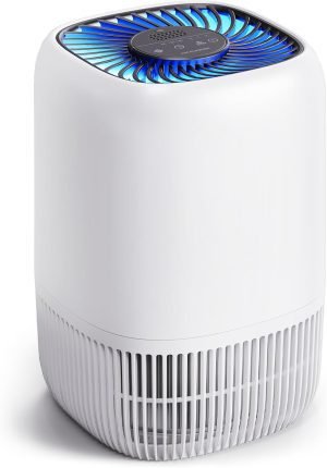 Air Purifiers for Home