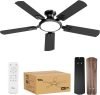Ceiling Fan with Light