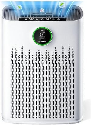 Air Purifiers for Home