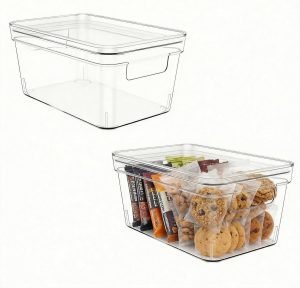 2-Pack Clear Plastic Storage Bins