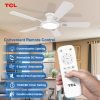 Ceiling Fans with Lights