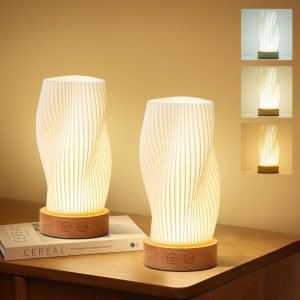 Cordless Table Lamp 2 Pack