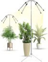 Grow Lights for Indoor Plants